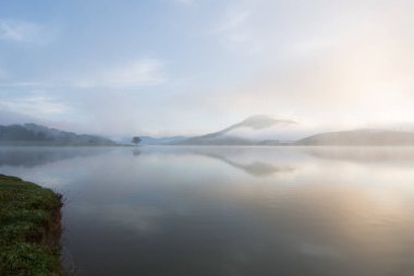 Yalnız çam ağacı yansıma gölde yoğun sis ve sihirli gökyüzü ve bulutlar arka plan ile şafak