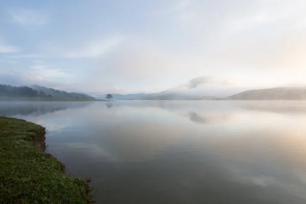 Pinheiro Solitário Reflexão Sobre Lago Amanhecer Com Densa Neblina Céu — Fotografia de Stock