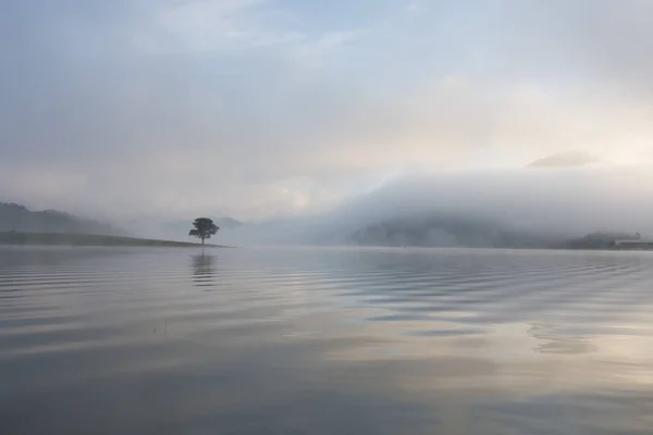 Pinheiro Solitário Reflexão Sobre Lago Amanhecer Com Densa Neblina Céu — Fotografia de Stock