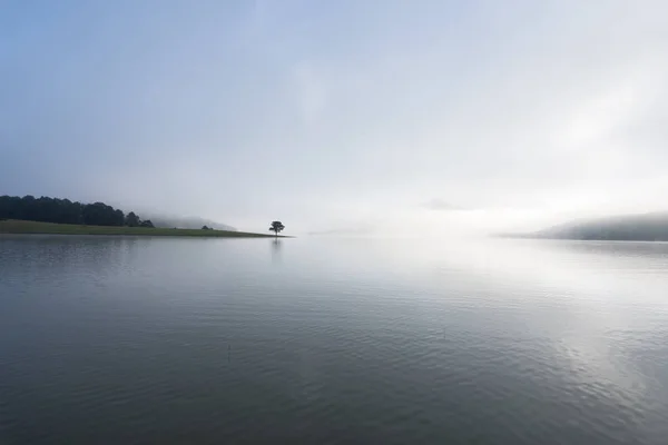 Pinheiro Solitário Reflexão Sobre Lago Amanhecer Com Densa Neblina Céu — Fotografia de Stock