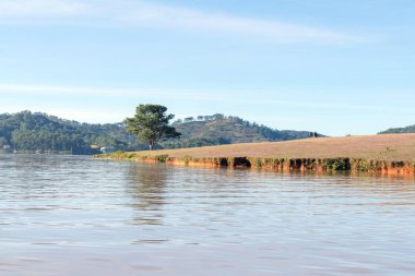 Pembe çayır ve çiğ gündoğumu, çimenlerin üzerinde güzel güneş ışığı