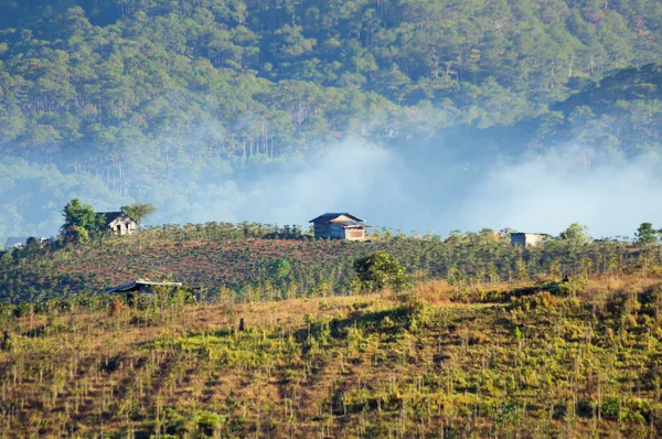 Schöne Häuser Auf Dem Land Mit Magischem Nebel Und Licht — Stockfoto