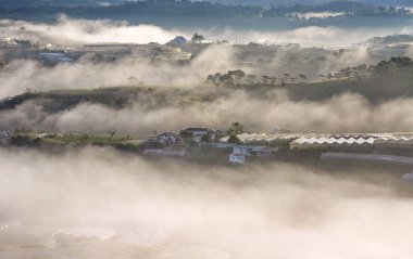 Büyüyen çiftlik çiçekler, yüksek teknoloji tarım kullanarak sebze ve içinde evler güzel sis ve şafak arka plan ışığı ile Vietnam kırsal