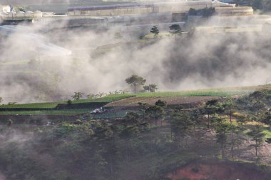 The farms growing flowers, vegetables using high-tech agriculture and houses in rural in vietnam with beautiful fog and light at dawn background clipart