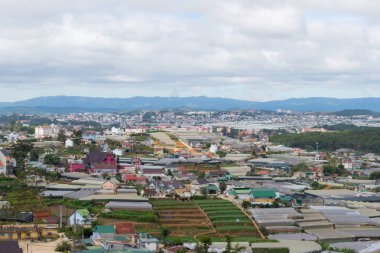 Sera, kafes evler, yüksek teknolojili tarım, taze sebze, meyve ve başka ürünler kaliteli ve büyüyen