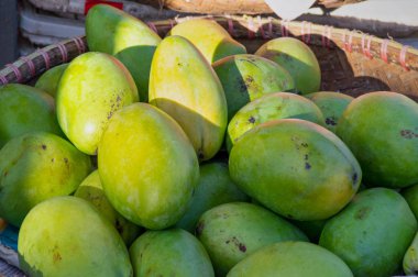 tropikal tatlı mango meyve, resmi kullanım için reklam, tasarım ambalaj ve daha fazla