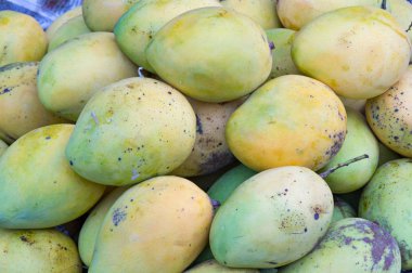 tropikal tatlı mango meyve, resmi kullanım için reklam, tasarım ambalaj ve daha fazla