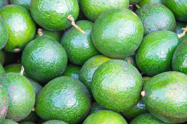avokado meyve arka plan tropic piyasada