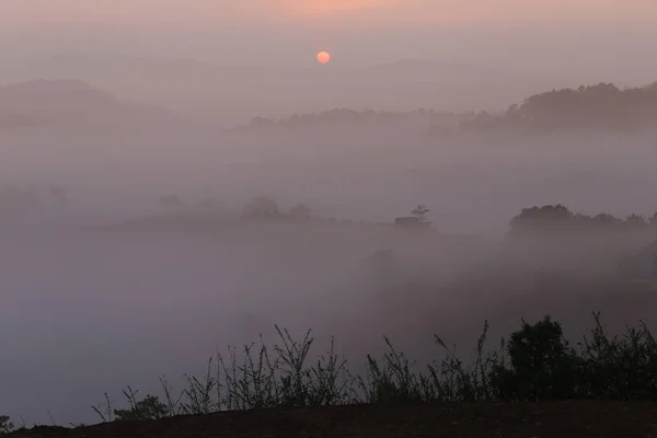 background with sun and magic dense cover farm fog at the sunrise