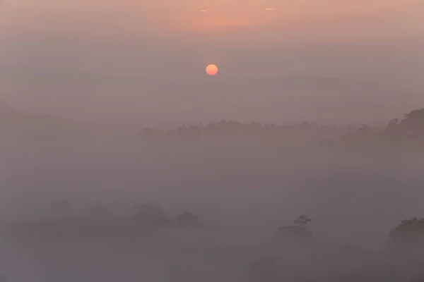 Фон Солнцем Волшебным Густым Туманом Восходе — стоковое фото