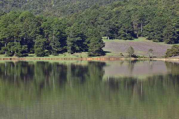 Pinhal Reflexão Sobre Lago Outono — Fotografia de Stock