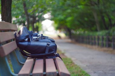 Öğleden sonra büyülü ışık ile Japonya'da kiraz çiçekleri park