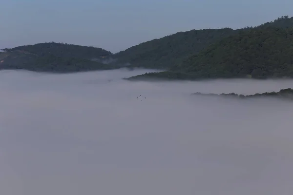 Background with fresh air, magic light and dense fog cover in the plateau at dawn