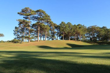 Doğa ile sihirli yapraklara, Güneş, ışık ve yeşil ot, çayır. Fotoğraf kullanın fikir tasarımında golf için temiz çevre