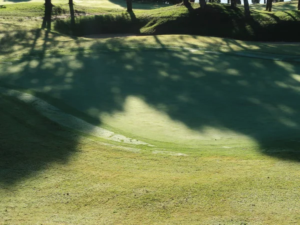 Natuur Met Magische Zonnestralen Zon Licht Groen Gras Weide Foto — Stockfoto