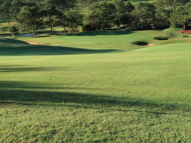 Doğa ile sihirli yapraklara, Güneş, ışık ve yeşil ot, çayır. Fotoğraf kullanın fikir tasarımında golf için temiz çevre