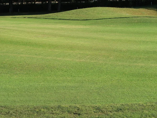 魔法の日差し 緑の草 牧草地で自然 ゴルフ 新鮮な環境のためのアイデア デザインに写真を使用します — ストック写真