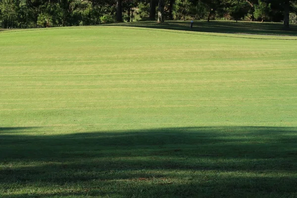 Natuur Met Magische Zonnestralen Zon Licht Groen Gras Weide Foto — Stockfoto