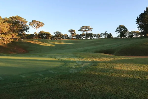 Doğa ile sihirli yapraklara, Güneş, ışık ve yeşil ot, çayır. Fotoğraf kullanın fikir tasarımında golf için temiz çevre