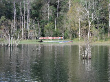 Lakeside taze doğa ve yeşil çayır arka plan ile küçük eski tekne