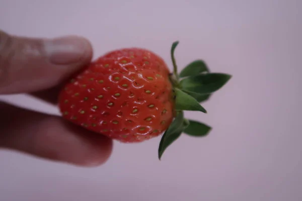Reife Erdbeeren Frucht Süß Und Schön Fotonutzung Für Werbedesign Ideenverpackung — Stockfoto