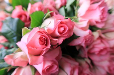 Arka plan için özel günler parlak renkli Güllü