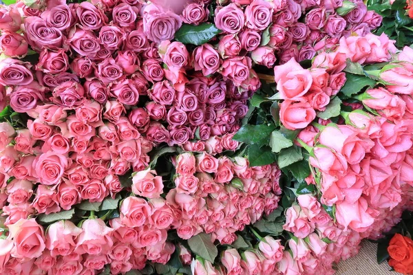 Sfondo Con Rose Colorate Brillanti Giorni Speciali — Foto Stock