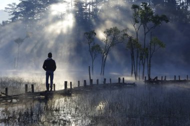 batık ağaçlar gölde sihirli ışık, sis ve insanlar doğarken aktif yansıtan