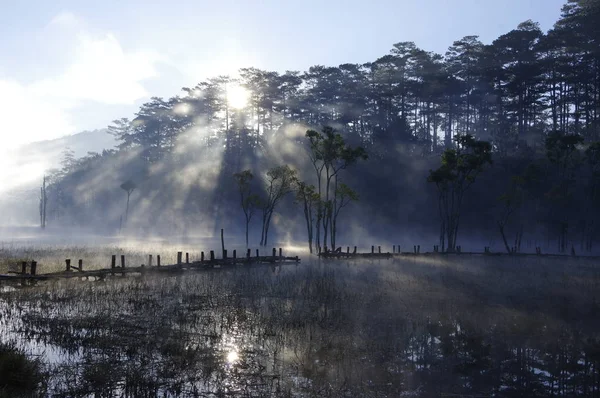 Árvores Submersas Que Refletem Lago Com Luz Mágica Nevoeiro Pessoas — Fotografia de Stock