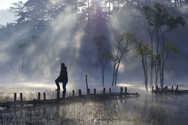 Водой Деревья Отражающиеся Озере Волшебным Светом Туманом Людьми Активными Восходе — стоковое фото