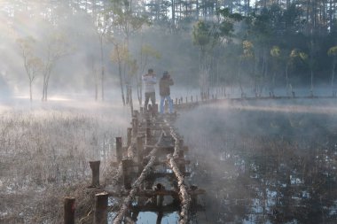 batık ağaçlar gölde sihirli ışık, sis ve insanlar doğarken aktif yansıtan