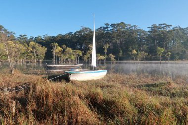 batık ağaçlar gölde sihirli ışık, sis ve insanlar doğarken aktif yansıtan