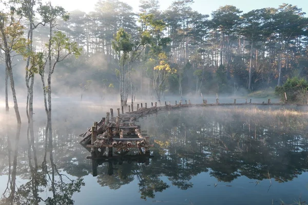 submerged trees reflecting on lake with the magic light, fog and people active at sunrise