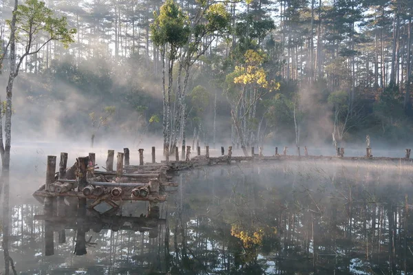 Bäume Die Sich See Spiegeln Mit Magischem Licht Nebel Und — Stockfoto