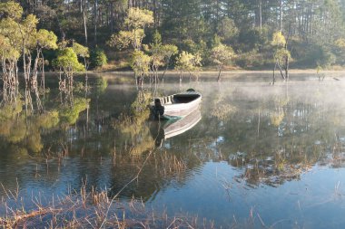 batık ağaçlar gölde sihirli ışık, sis ve insanlar doğarken aktif yansıtan