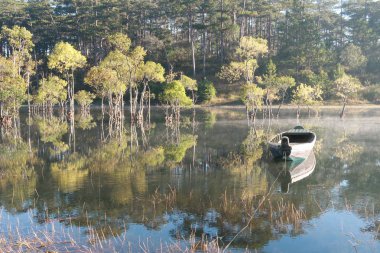 batık ağaçlar gölde sihirli ışık, sis ve insanlar doğarken aktif yansıtan