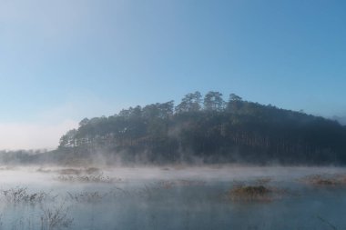 çalılar ve çam Gölü ile yoğun sis, gündoğumu sihirli ışık ve mavi gökyüzüne yansıması orman