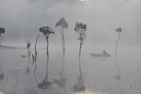 Погруженные Деревья Рыбак Озере Густым Туманом Волшебным Светом Восходе Солнца — стоковое фото
