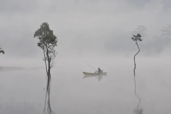 Árvores Submersas Homem Pesca Lago Com Densa Neblina Luz Mágica Imagens De Bancos De Imagens