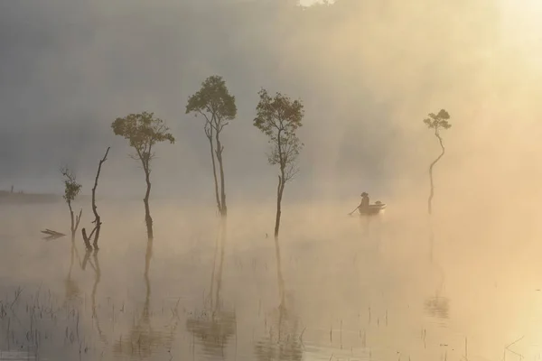 Árvores Submersas Homem Pesca Lago Com Densa Neblina Luz Mágica — Fotografia de Stock