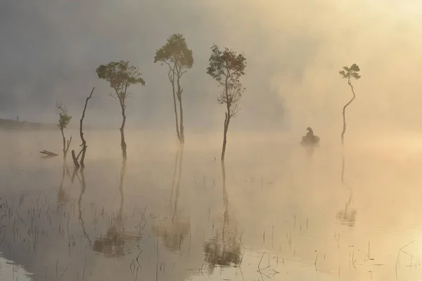 Árvores Submersas Homem Pesca Lago Com Densa Neblina Luz Mágica — Fotografia de Stock