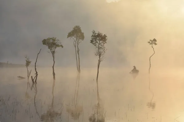 水中の木や濃霧と魔法の日の出光湖の釣り人 — ストック写真