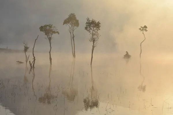 Árvores Submersas Homem Pesca Lago Com Densa Neblina Luz Mágica — Fotografia de Stock