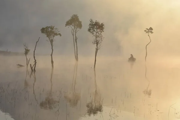 Árvores Submersas Homem Pesca Lago Com Densa Neblina Luz Mágica — Fotografia de Stock