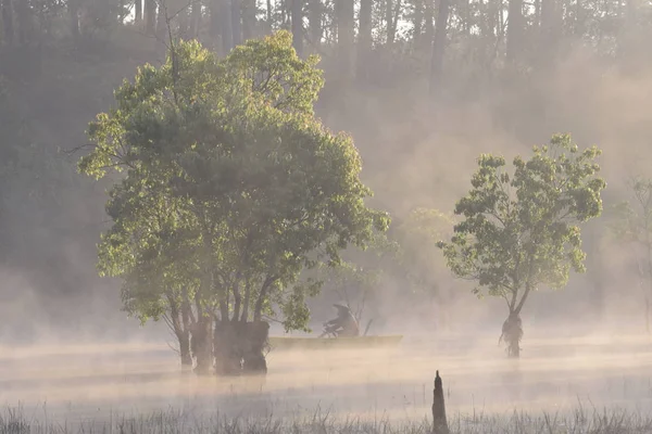 submerged trees and fishing man on the lake with dense fog and magic light at sunrise