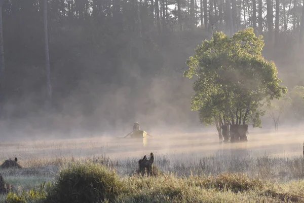 submerged trees and fishing man on the lake with dense fog and magic light at sunrise