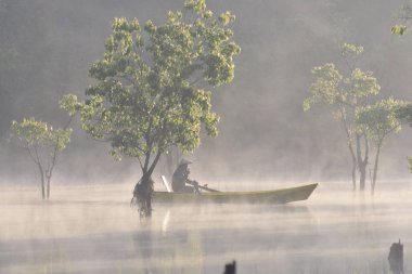 batık ağaçlar ve yoğun sis ve büyü güneş doğarken ışık ile gölde balık adam