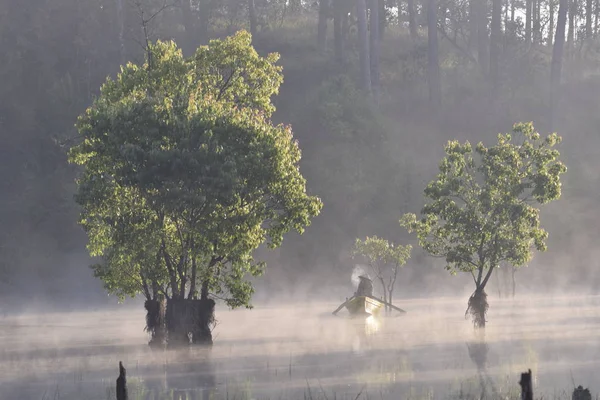 Árvores Submersas Homem Pesca Lago Com Densa Neblina Luz Mágica Imagens De Bancos De Imagens Sem Royalties