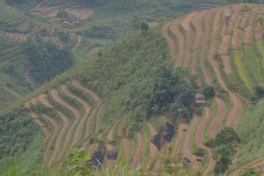 Ha Giang eyaletinde teraslar, kayalıklar ve yaşam ile büyük dağlar keşfedin, Vietnam