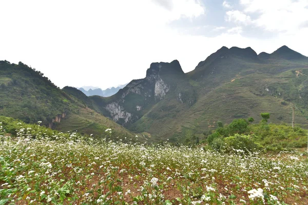 Descubre Grandes Montañas Con Terrazas Acantilados Vida Provincia Giang Vietnam —  Fotos de Stock